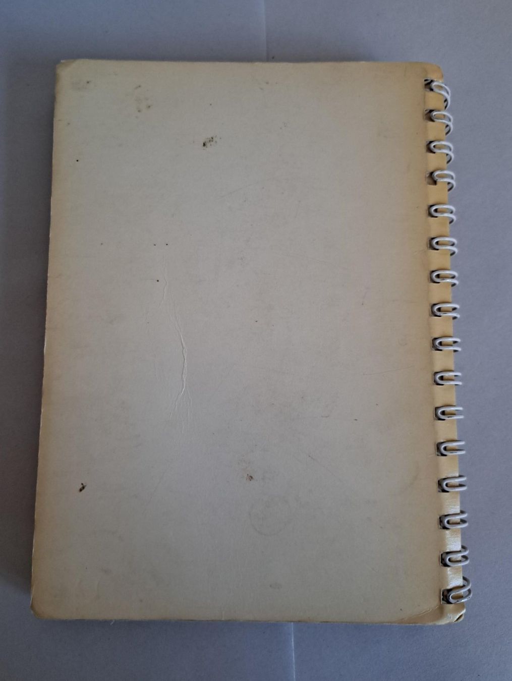 Bücher: Berner Kochbuch, 1961 erweiterte Auflage – Gebraucht aus Basel von Patiscat 5