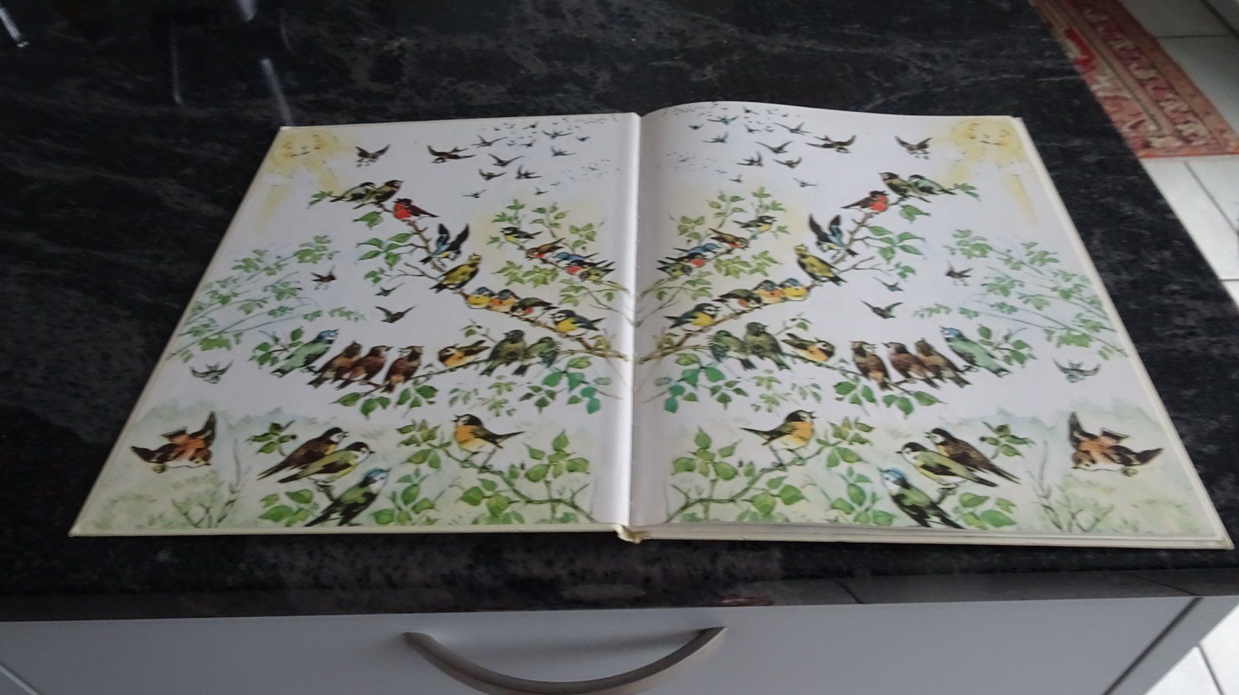 Bücher: Die Vogelhochzeit Eine Geschichte mit Bildern von F.Baumgart – Gebraucht aus Zürich von Roulet 2