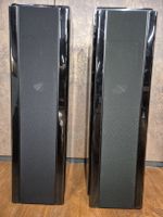 PIEGA Elektra – seltene Schweizer High-End Standlautsprecher