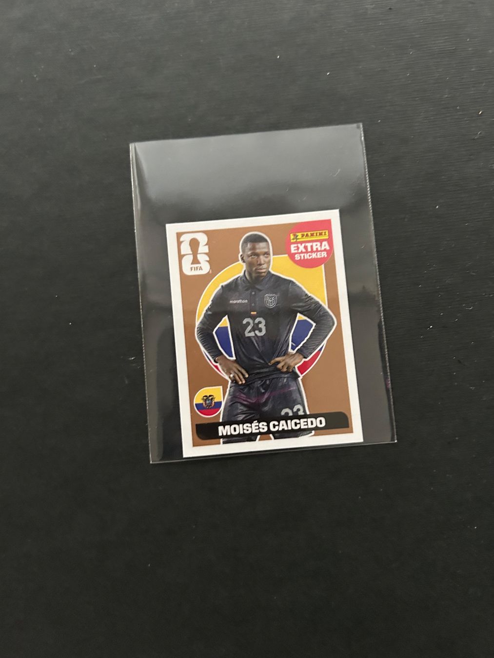 Panini Cartes à collectionner: Panini Extra Sticker Moises Caicedo lila + Bronze – Neuf (Voir description) à Zürich par Yvo619 1