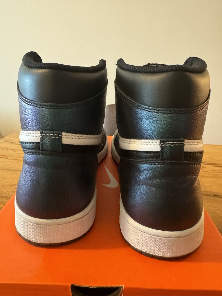 Jordan Herrenschuhe: Air Jordan 1 Retro High - Chameleon 2017 – Gebraucht aus Zürich von sell_my_stuff 4