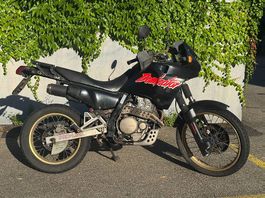 Honda NX650 Dominator RD02  Bastlerfahrzeug / Projekt