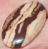 Cabochon L-2187 – Kokosnuss Jaspis 29x18mm