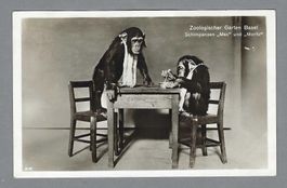 BASEL, ZOOL. GARTEN, SCHIMPANSEN MAX und MORITZ, *