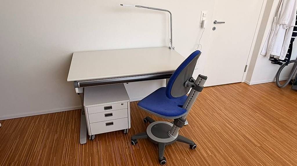 Bureaux: MOLL - Pult, Lampe, Korpus & Stuhl -  – D'occasion à Beromünster par droethlin