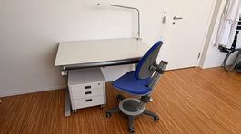 MOLL - Pult, Lampe, Korpus & Stuhl - 