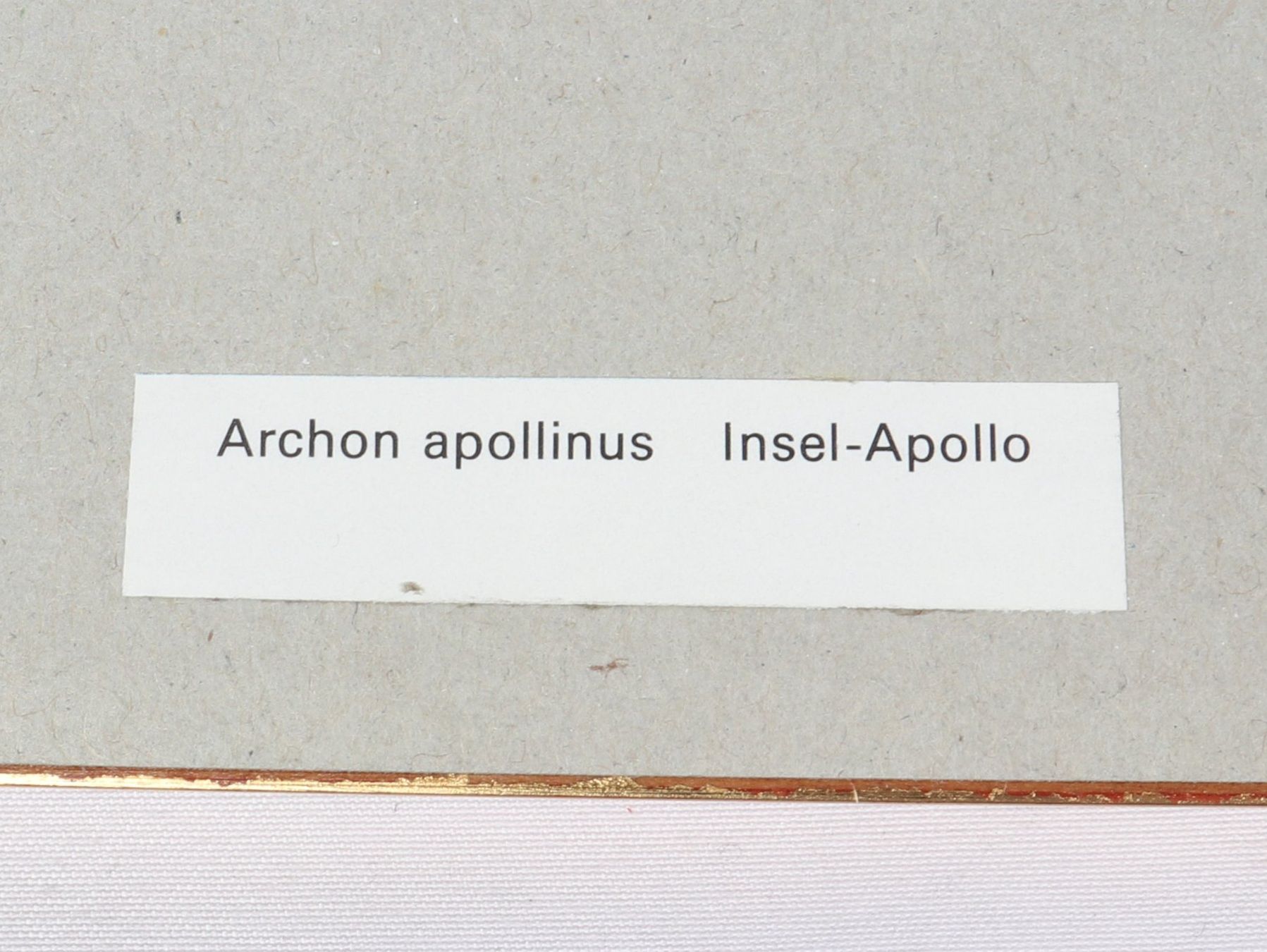 Foto & Immagini: BILD Insel Apollo – Usato da Steinen venduto da Restwert_Steinen 7