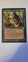 MTG - Spurensucher