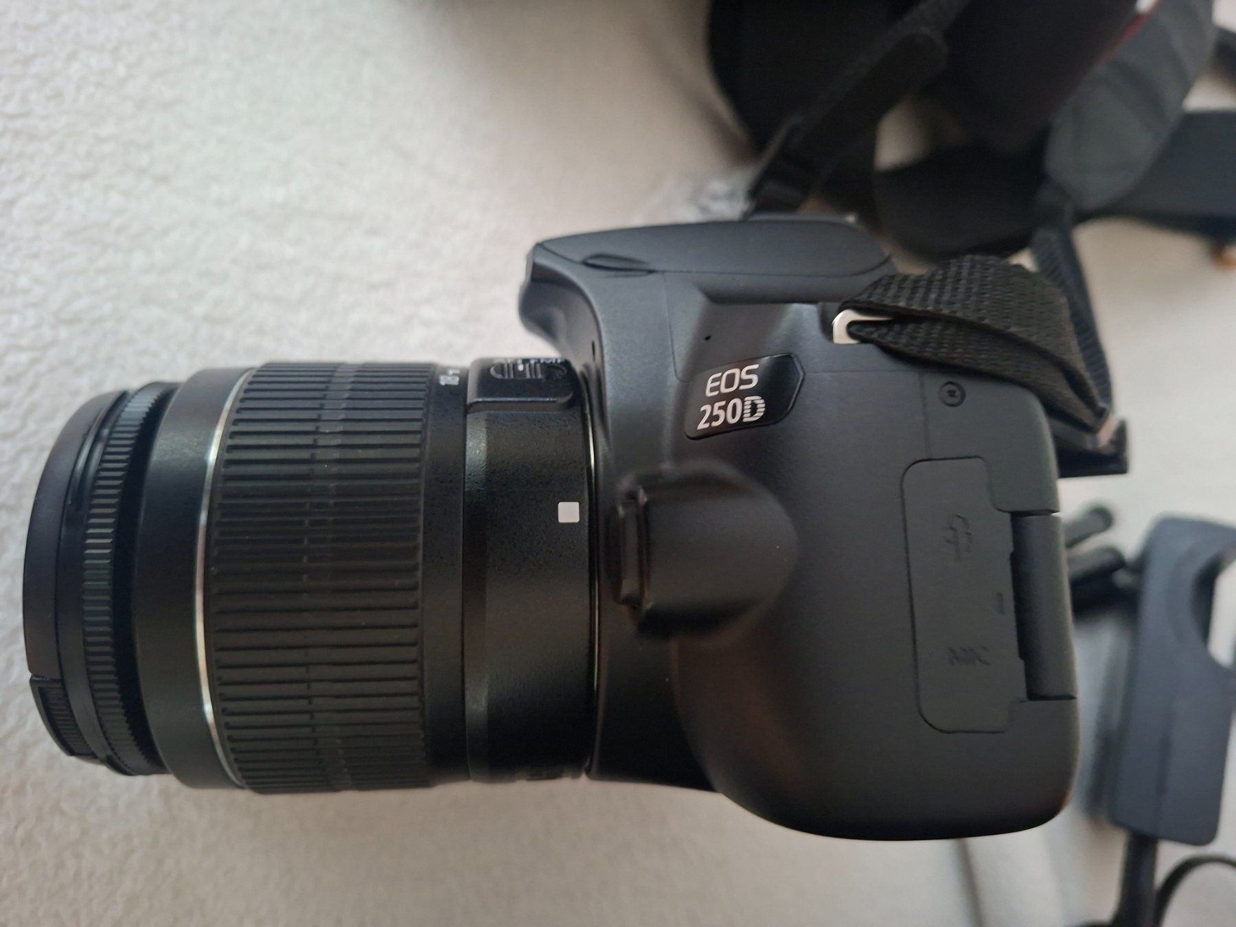 Canon Fotocamera: Canon EOS250D – Usato da Vitznau venduto da mgaraventa 2