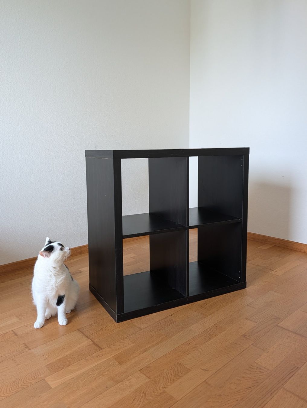 Ikea Scaffali: Ikea KALLAX – Usato da St. Gallen venduto da Le_monski