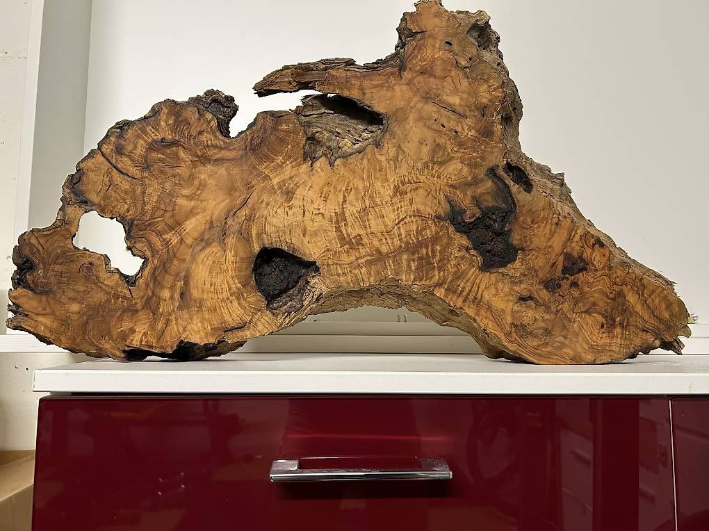 Articoli in legno: Schöne Olivenholz Scheibe – Usato da Allschwil venduto da Haffelow 1