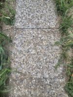 Waschbeton Steinplatten Gartenweg 50x50cm 300Stk 75qm