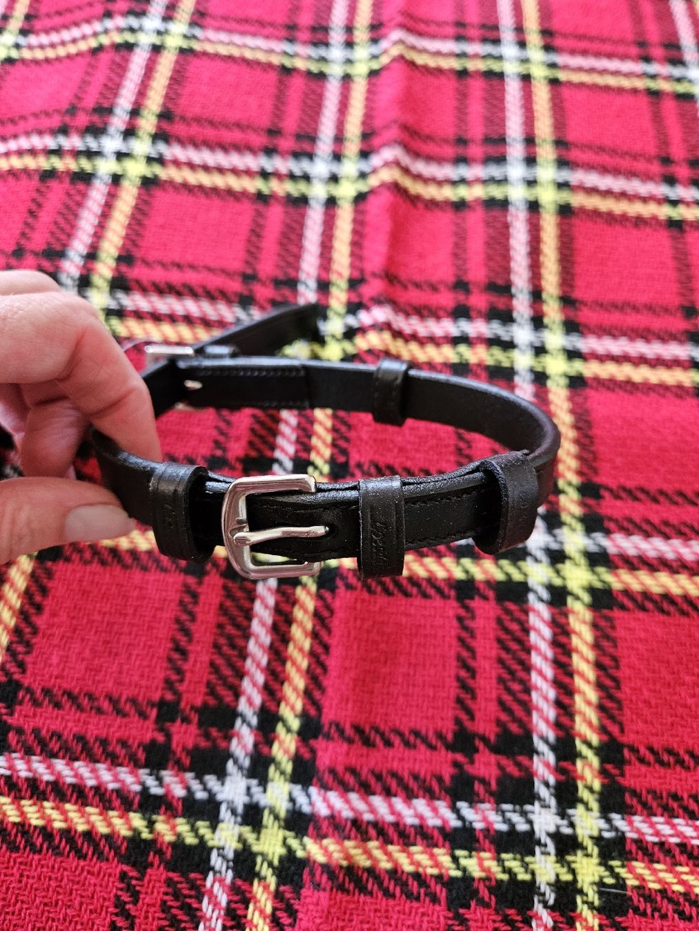 Zaumzeug & Halfter: Backenstück Leder – Neu (gemäss Beschreibung) aus Oberwangen TG von redlove2010 2