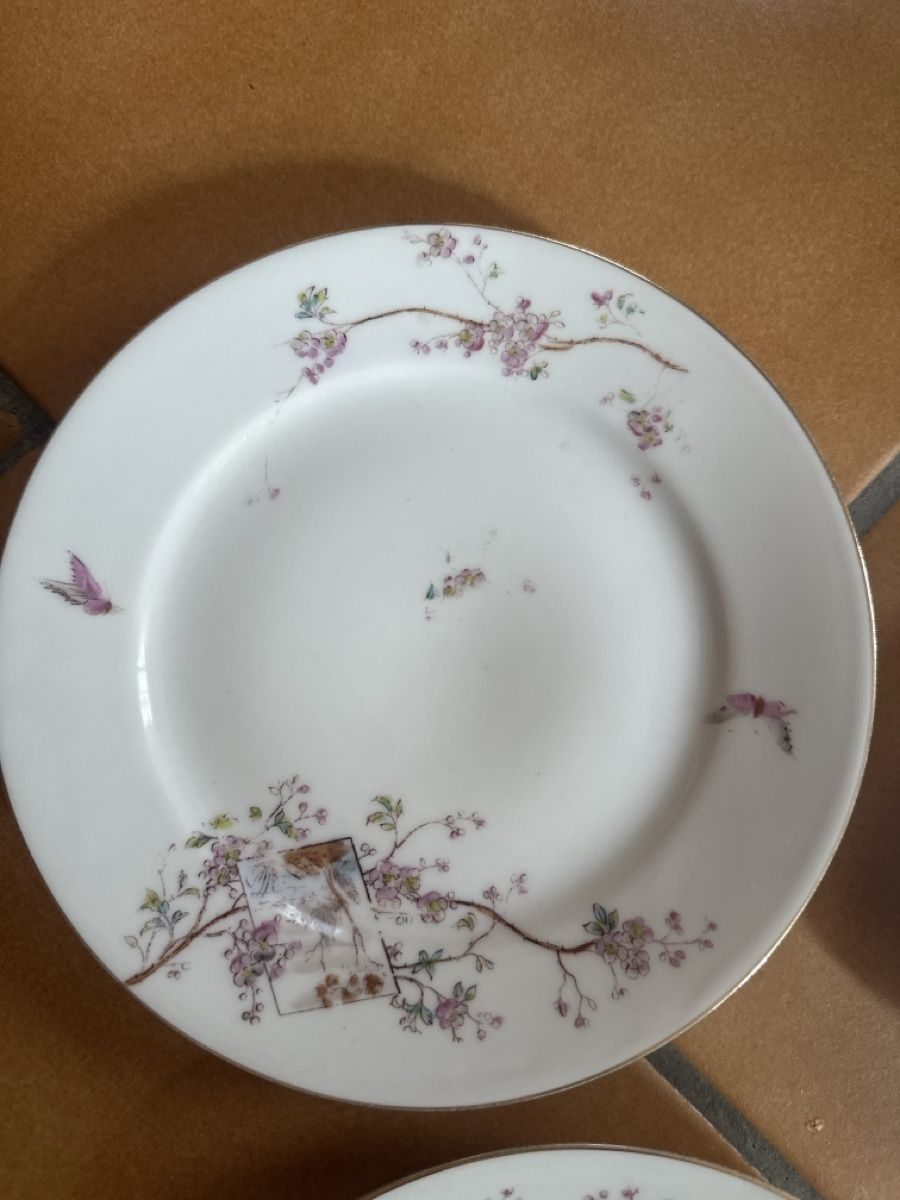 Tutte le decorazioni: Geschirrset mit Blumenmuster und Schmetterlingen – Usato da Schwadernau venduto da mirifiesta 2