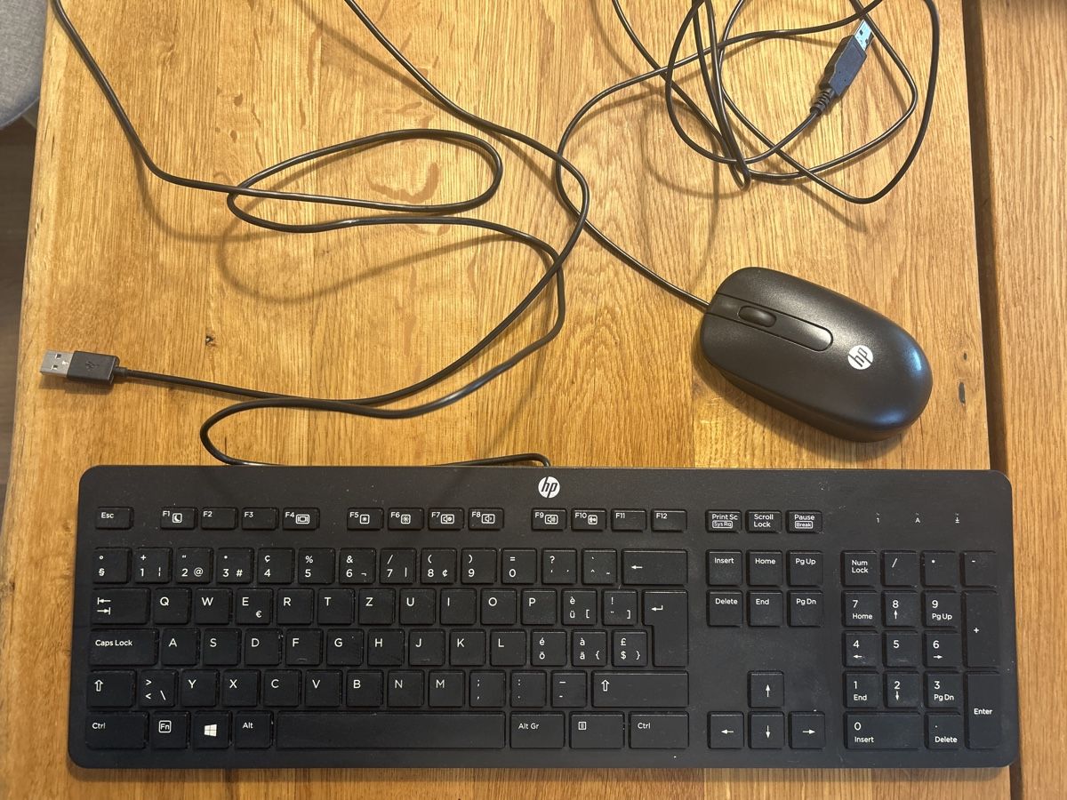 Hewlett Packard Tastiere: HP Tastatur und Maus – Usato da Alpnach Dorf venduto da mar_hn6d