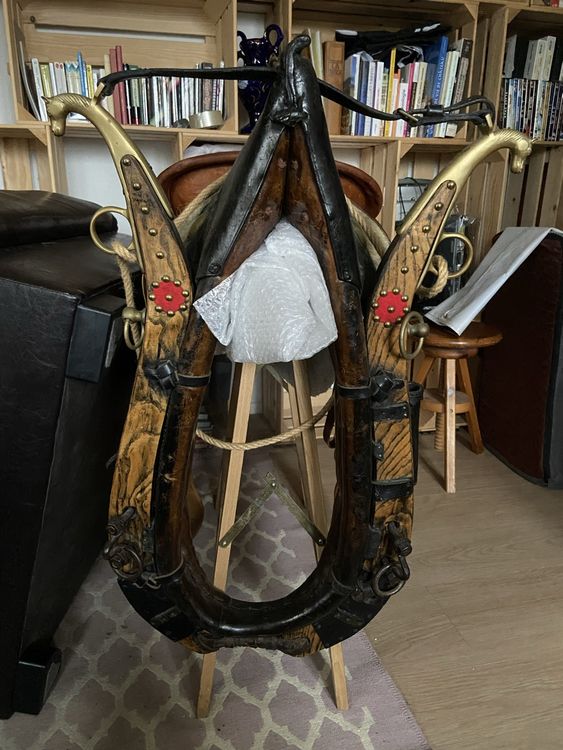 Collier De Cheval Ancien Prix