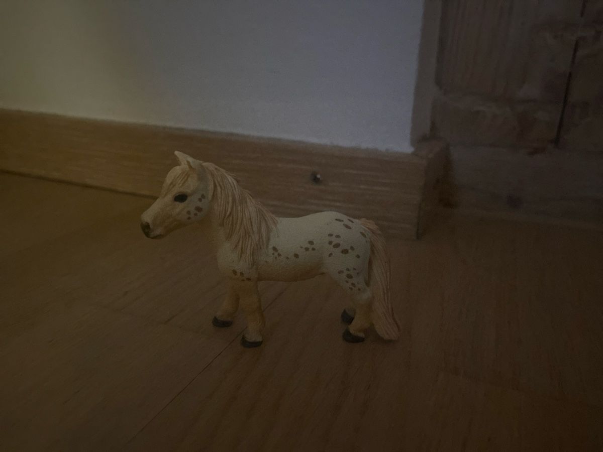 Schleich Spielzeuge: Schleich-Pony – Neu (gemäss Beschreibung) aus Therwil von ann_w79k