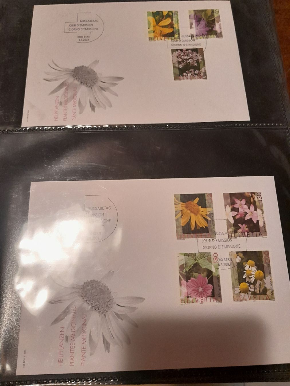 Tutti i francobolli: Enveloppe Suisse 2003 Fleurs – Usato da Marly venduto da globetrotter1723