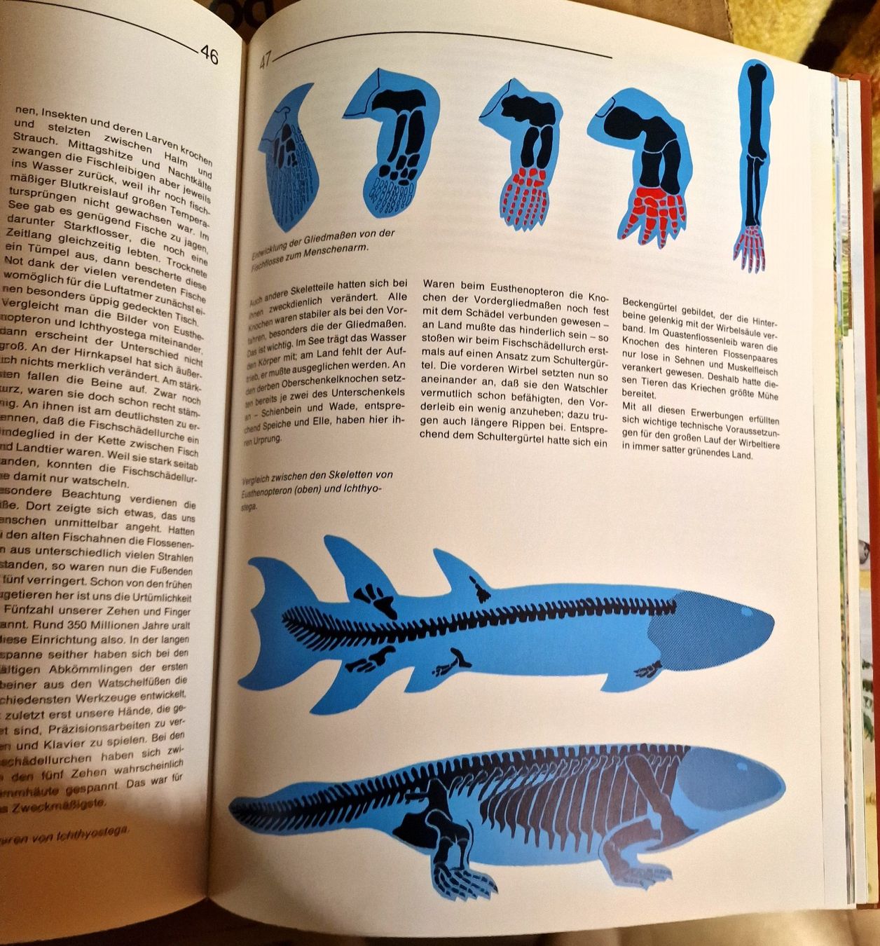 Livres: Dinosaurier und andere Tiere der Urzeit – D'occasion à Winterthur par Versus0 8