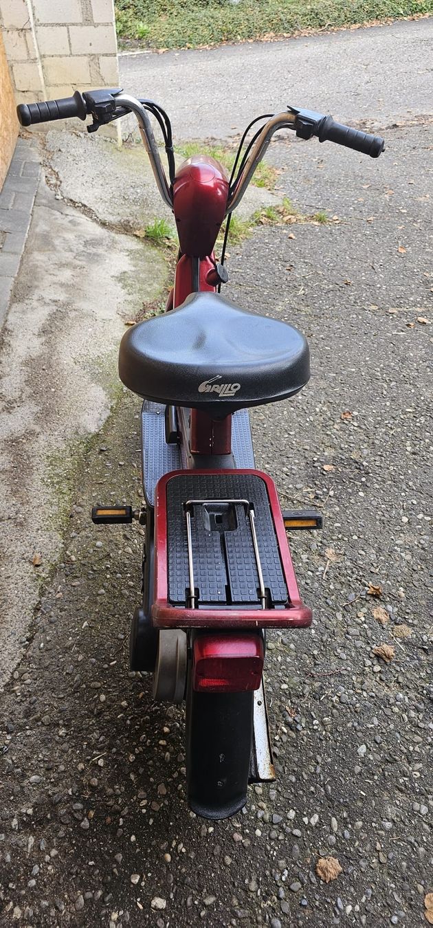 Ciclomotori: Mofa Piaggio Grillo – Usato da Thalheim AG venduto da peps01 3