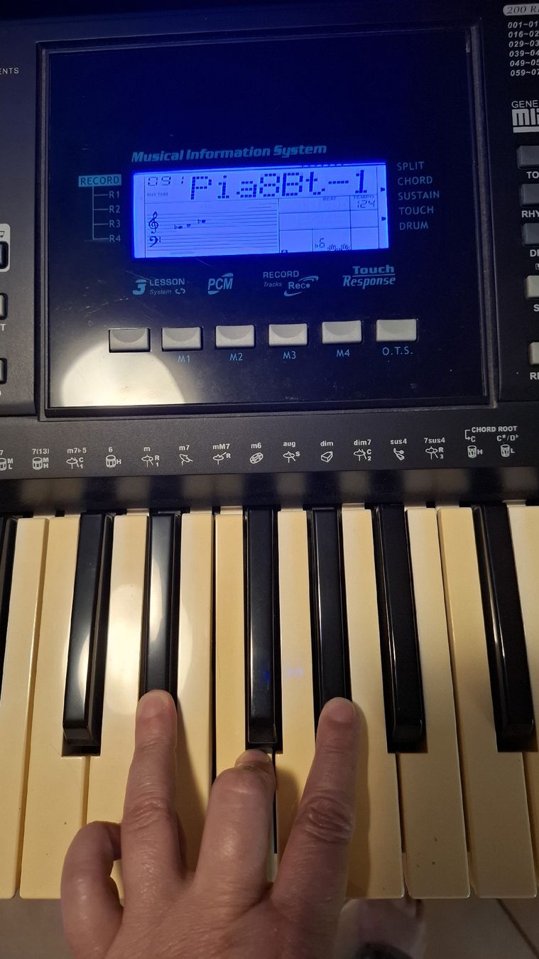 Strumenti musicali: Keyboard multifunktional – Usato da Brünisried venduto da san_74_bu 3