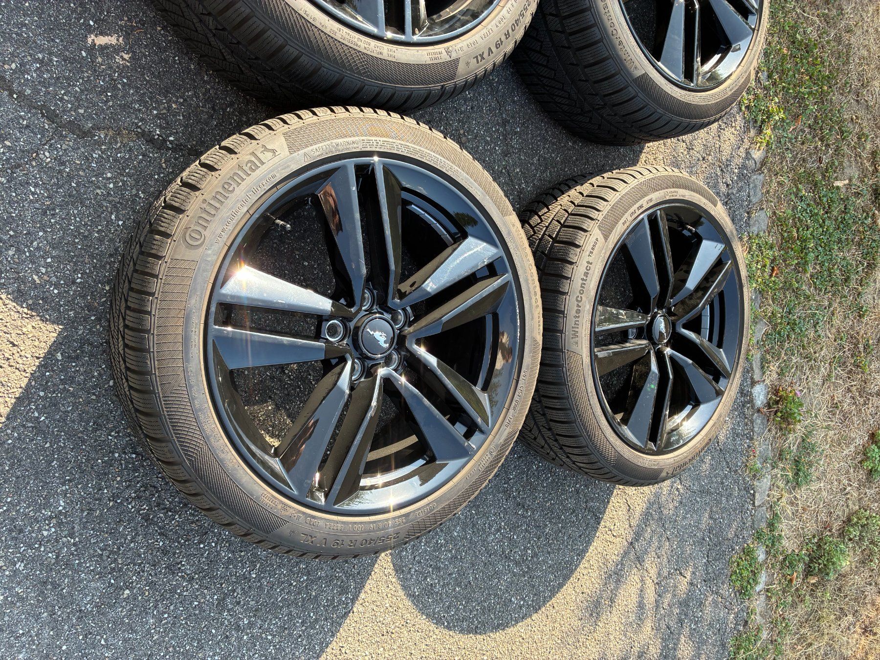 Ford Pneumatici & Ruote complete: Ford Mustang Winterräder – Usato da Schönenwerd venduto da Moremilu 2