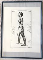 Ferdinand Hodler - Lithographie - "Frauenakt"