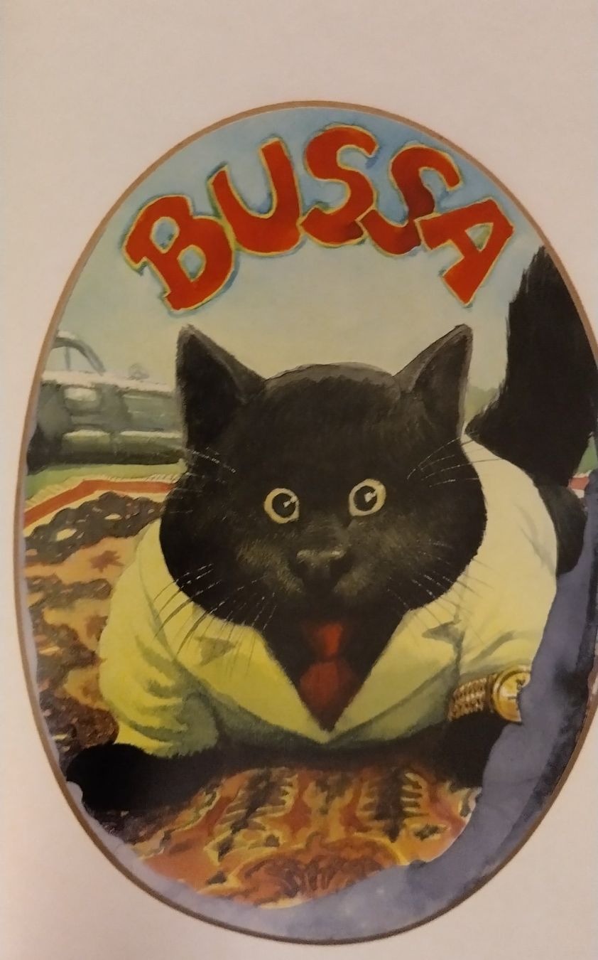 Fumetti: Deix, "Tierwelt, Katzen&Co" – Usato da Wettingen venduto da Arthur054 2