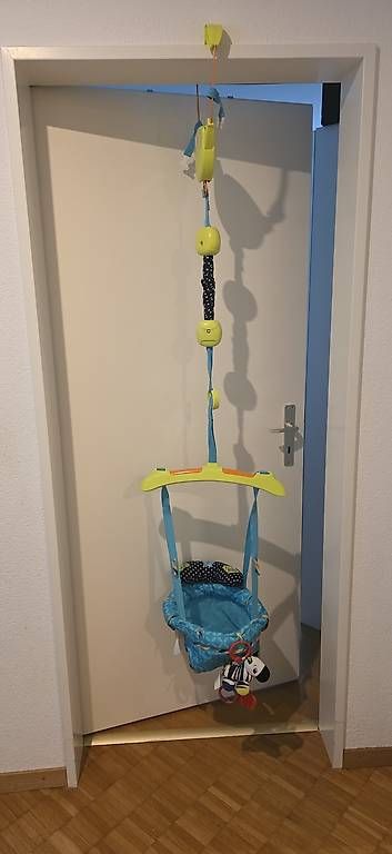 Altre altalene da giardino: Baby Hüpfsitz – Usato da Untersiggenthal venduto da JJ86sun