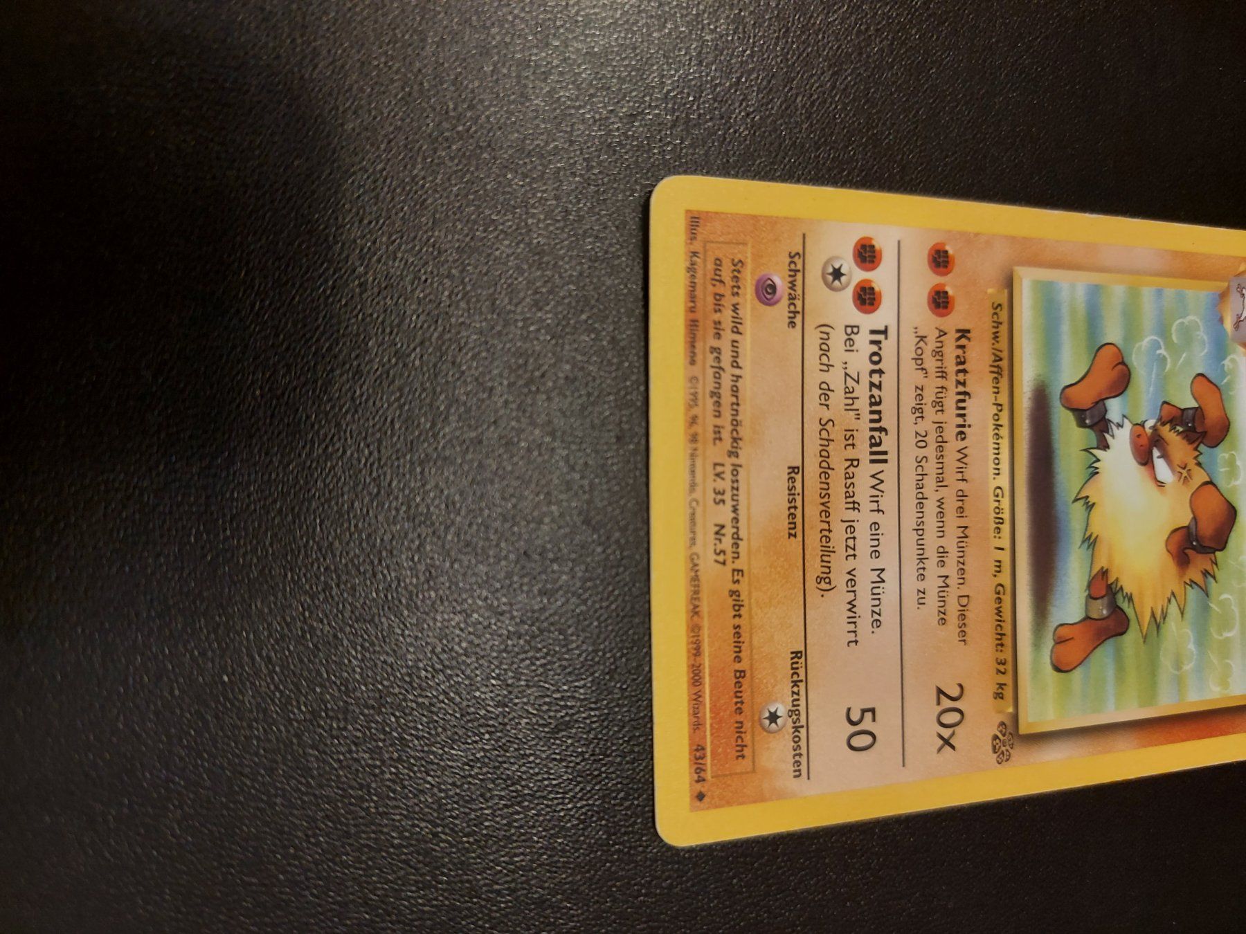 Pokémon Carte collezionabili: Rasaff #43 Jungle DE – Usato da Biasca venduto da Sara_Poke123 2