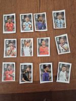 Alle 12 Coca Cola Panini WM 2026 Sticker Set