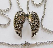 Engelsflügel Angel Wings Flügel Chrom