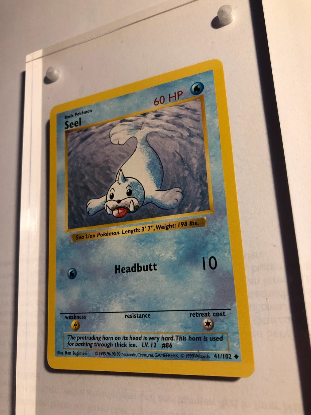 Sammelbilder & Trading cards: Seel (uncommon) Base Set Shadowless - MINT - ab 1.- – Gebraucht aus Giubiasco von dan_pr8b 2