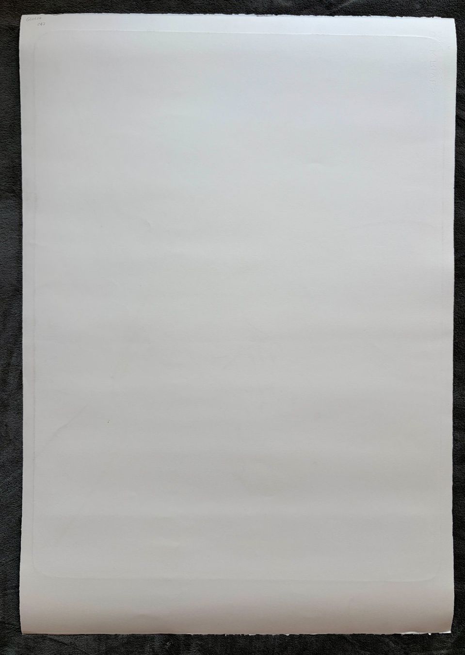 Grafiken & Lithographien: Harald Naegeli, grosse Lithographie – Gebraucht aus Regensdorf von JoergR 7