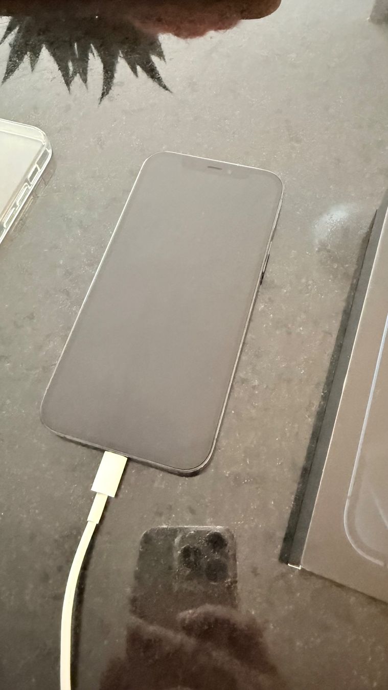 Apple Telefoni cellulari / Smartphones: iPhone 12 Pro, 128 GB, Pazifikblau – Usato da Rapperswil SG venduto da Tinli02 7