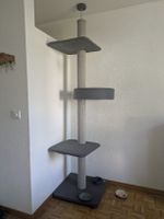 Kratzbaum [Deckenhoch]