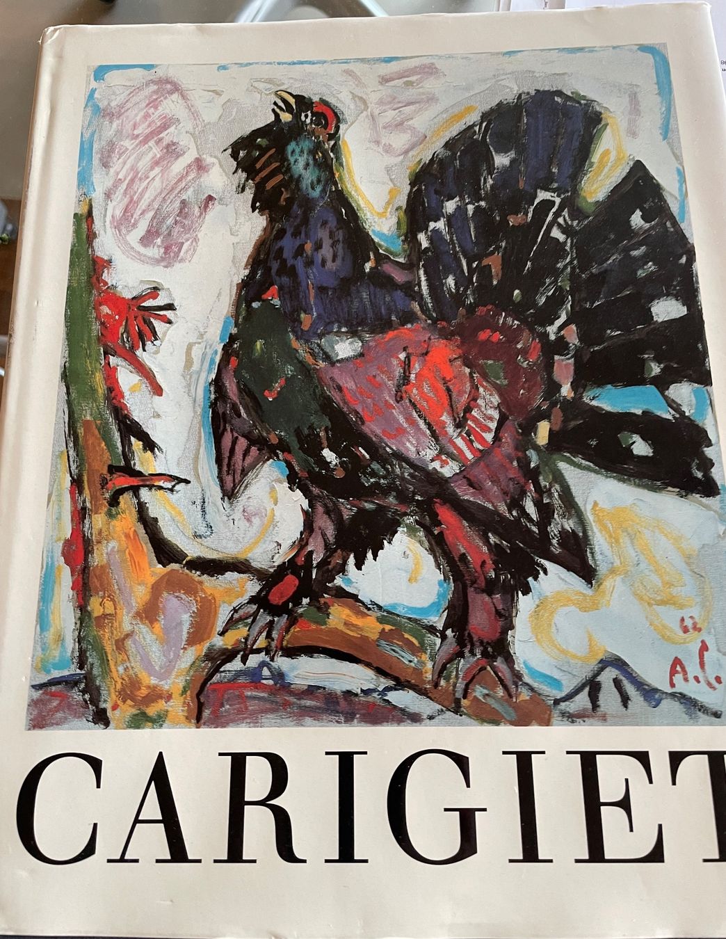 Libri: Alois Carigiet – Usato da Lutzenberg venduto da Hajla 2
