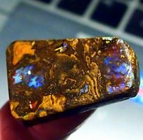 Australian Koroit Opal, voller blauer & violetter Funken