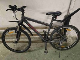 Racer Mountainbike Perfekt Zustand 
