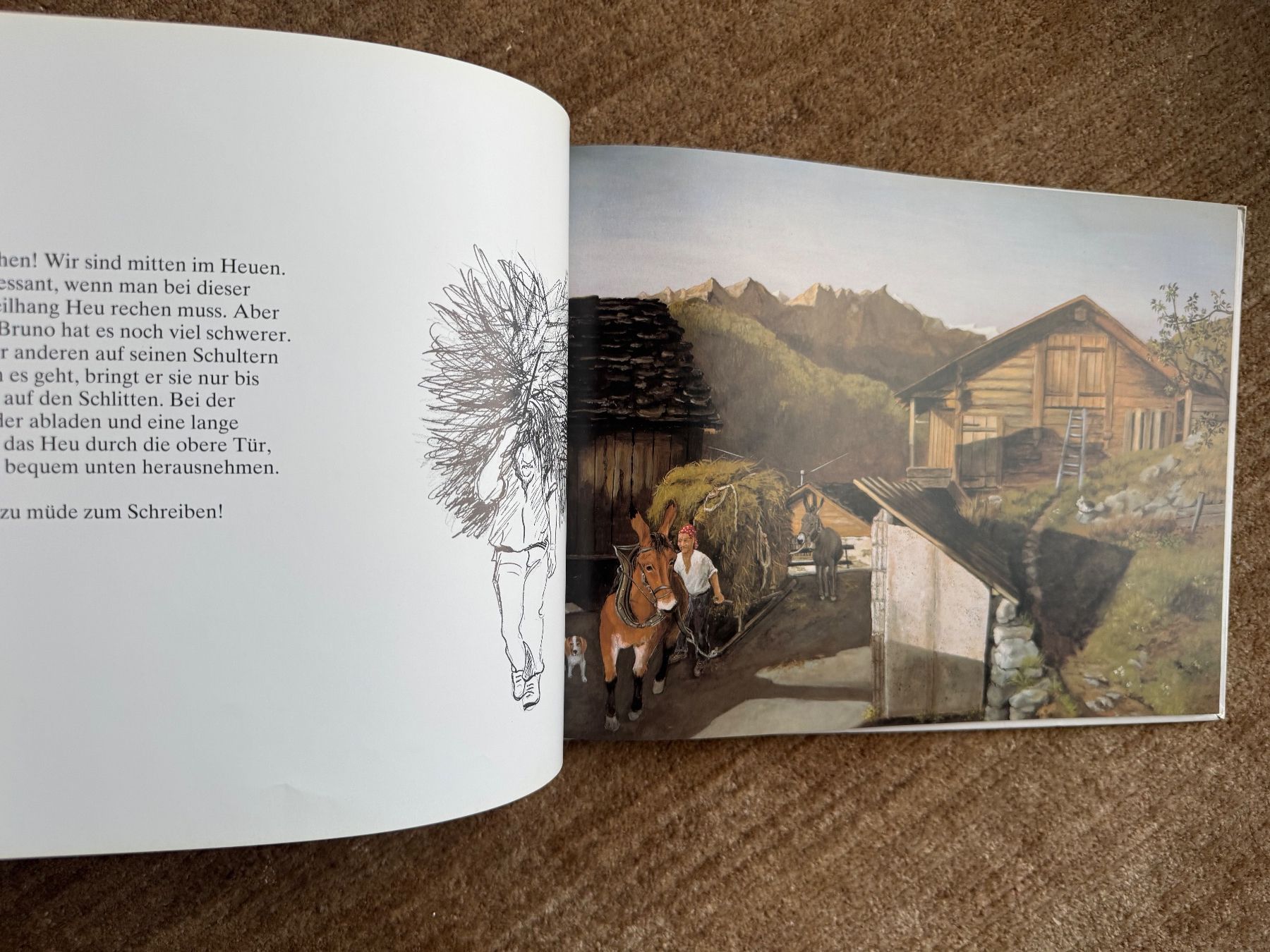Libri: Lieber Alex -Helen Güdel – Usato da Aarau venduto da Kilauea 7