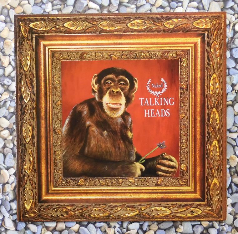 Talking Heads Naked (LP) Kaufen auf Ricardo