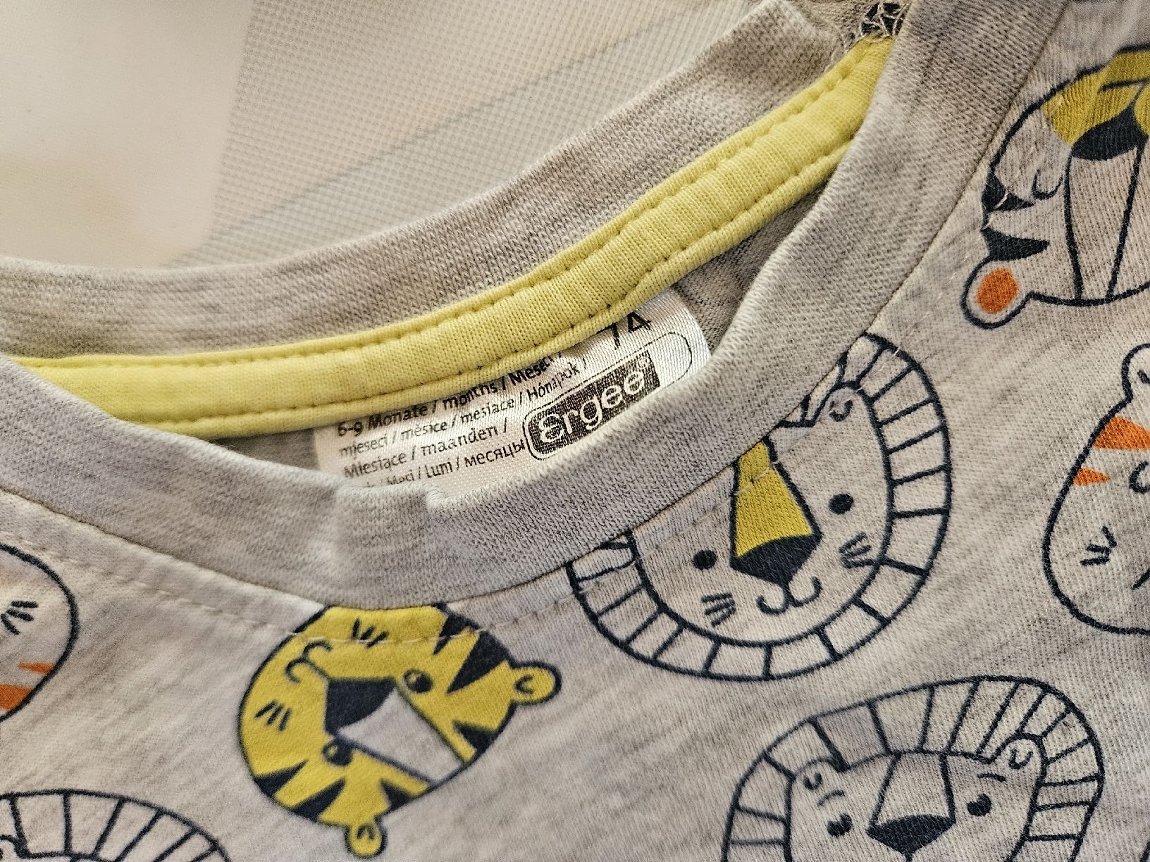Hemden, Tops & T-Shirts: T-shirt Gr. 74 – Gebraucht aus Worb von jun_fj8w 2