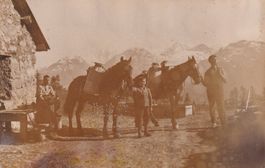 Alp Muntatsch   GR    (Samedan)      um  19 5 3