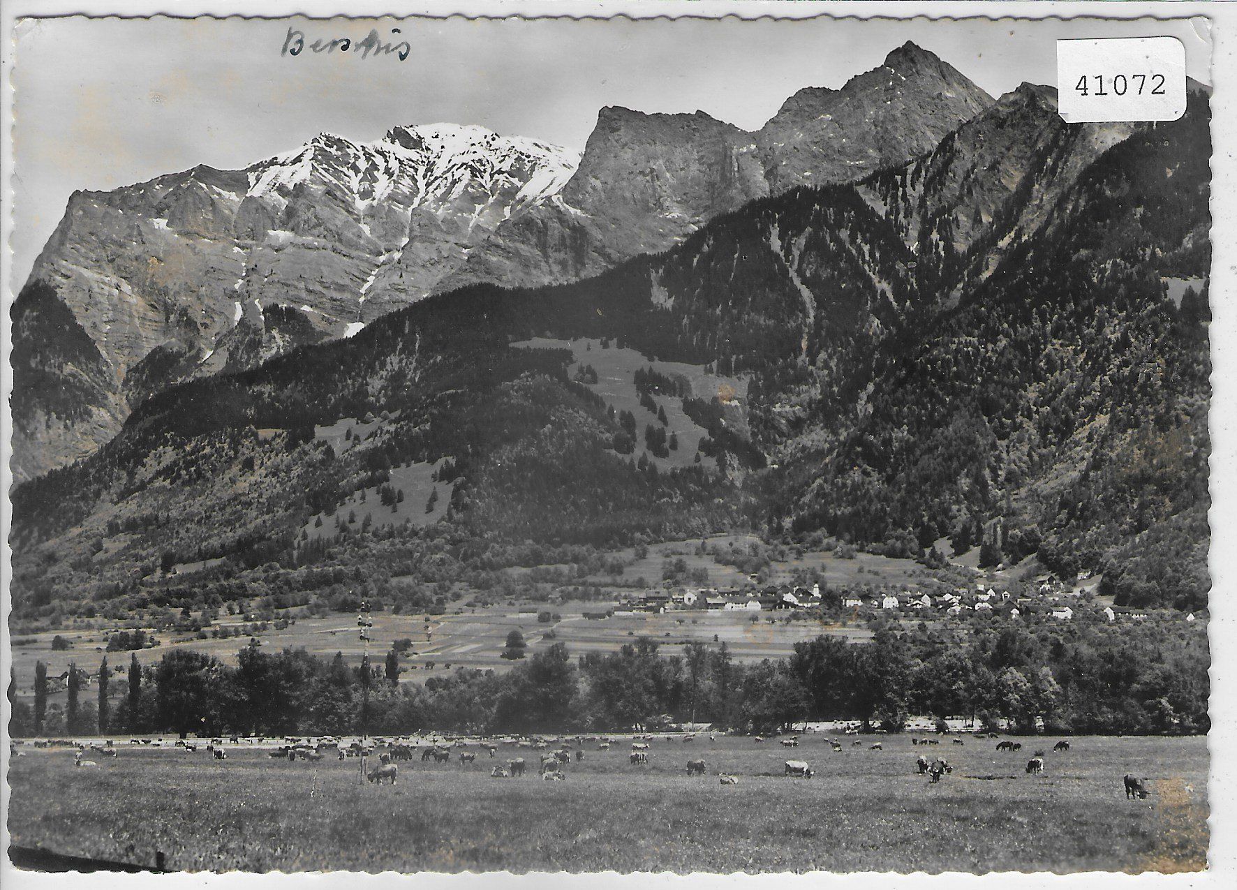 Cartoline postali: Jenins mit Falknis – Usato da Ettingen venduto da Kartenplanet
