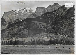 Jenins mit Falknis