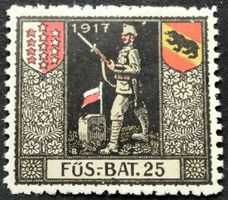 Soldatenmarke 1.WK, Füsilier Bat 25, Wi 3.Div 71