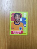 Panini WM 2026 Sticker - NED 8