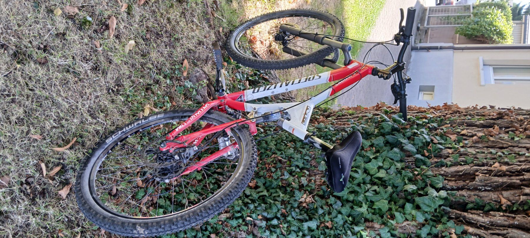 Biciclette: Mtb Specialiced – Usato da Gossau SG venduto da pluto69 3