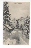 AROSA Waldpartie
