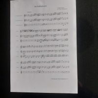 Klarinetten Noten "Der Kaffeeklatsch" von Haydn/Hildebran...